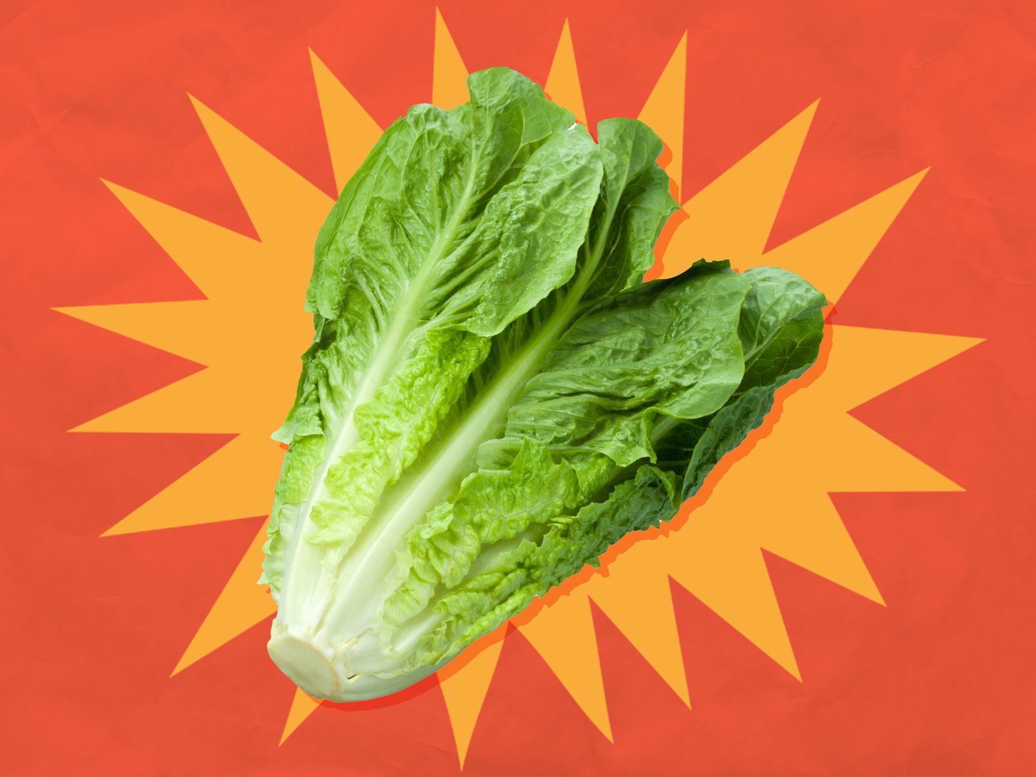 يأتي رومين جديد إلى المتاجر، ولن تضطر إلى غسله